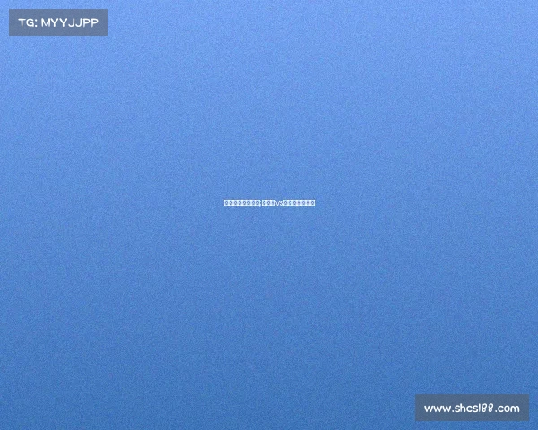 巴西与秘鲁的赛事;巴西队vs秘鲁队比赛场地